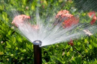 Sprinkler-Residential.jpg